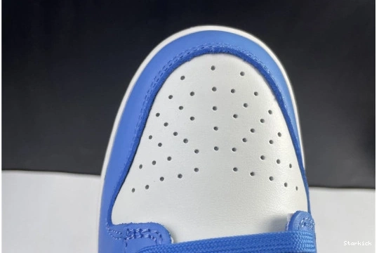 Nike Dunk DD1503-100 Low Coast (W) 1216